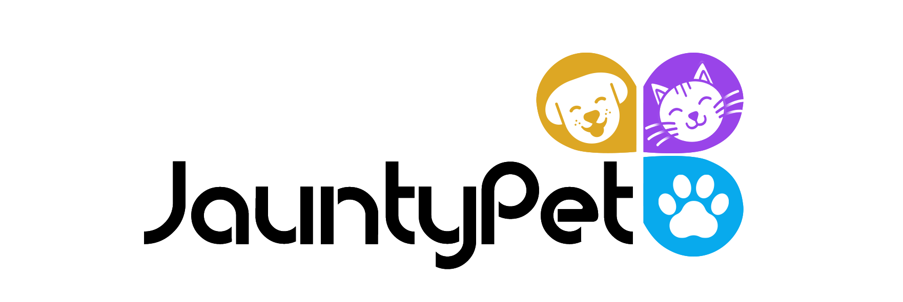 chaoman toy